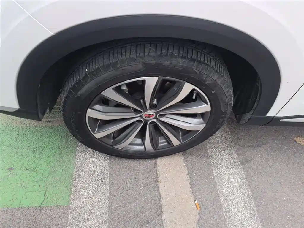 Roewe RX5 MAX 2019 — фото 23