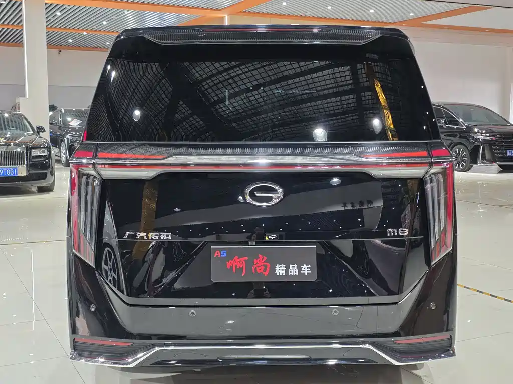 GAC Motor Trumpchi M8 2024 — фото 16