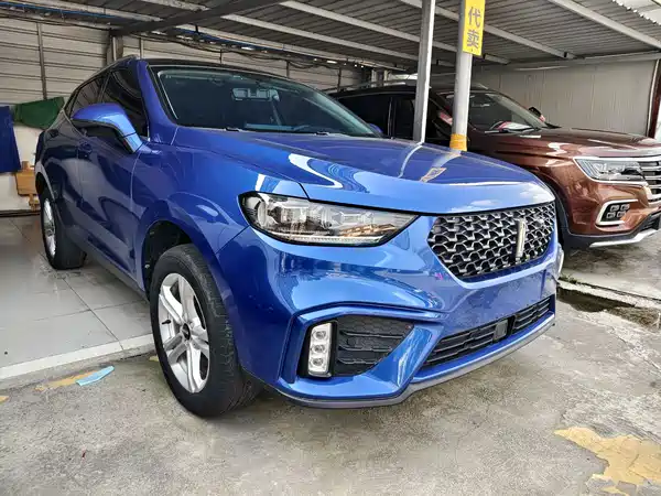 Wey VV5 2020