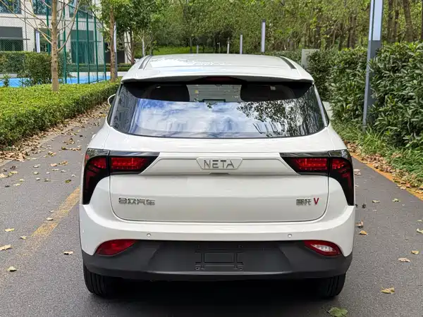 Neta V 2021