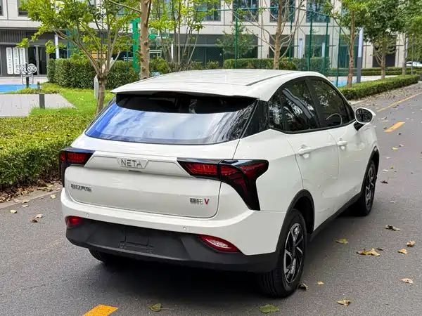 Neta V 2021
