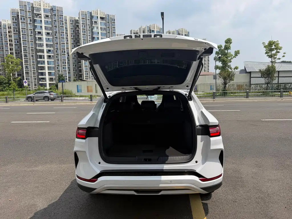 BYD Song PLUS New Energy 2023 — фото 9