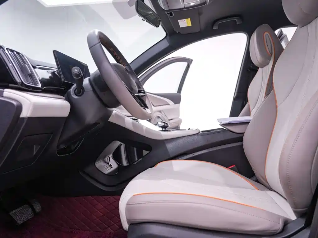 BYD Pro New Energy 2024 — фото 19