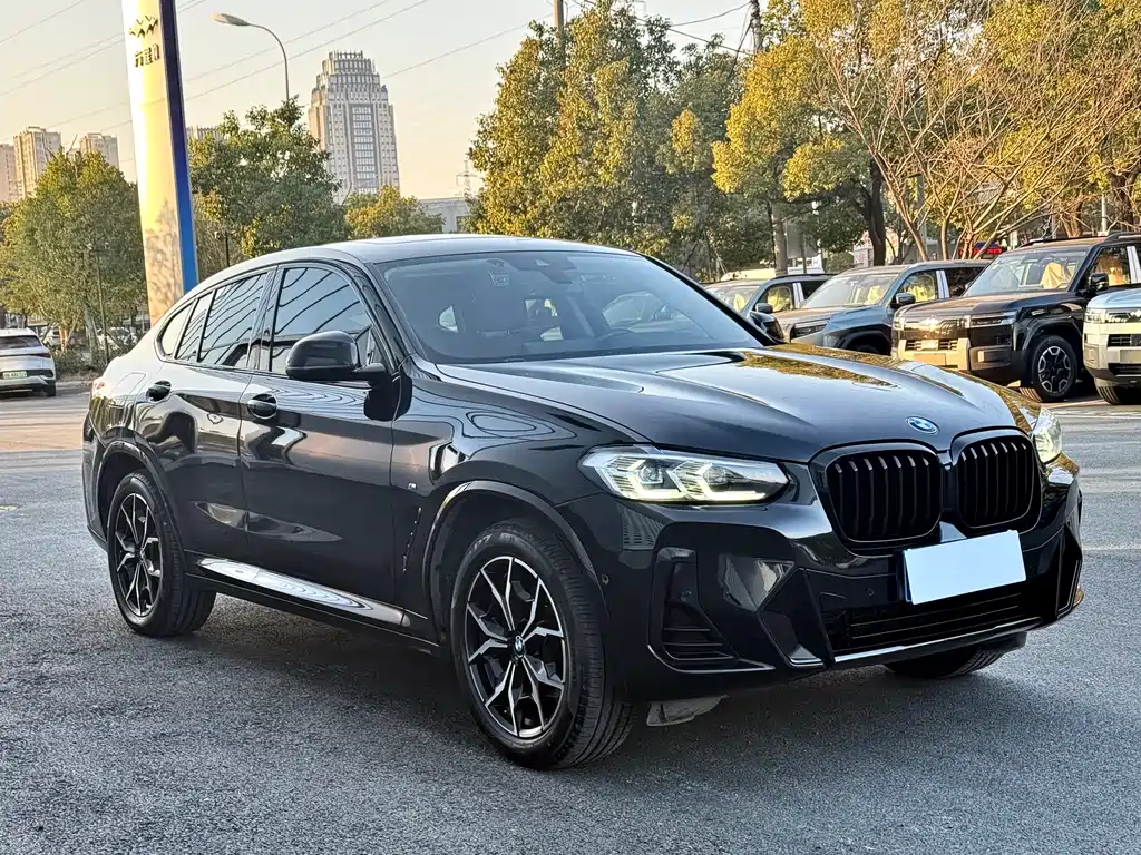BMW X4 2022 — фото 3