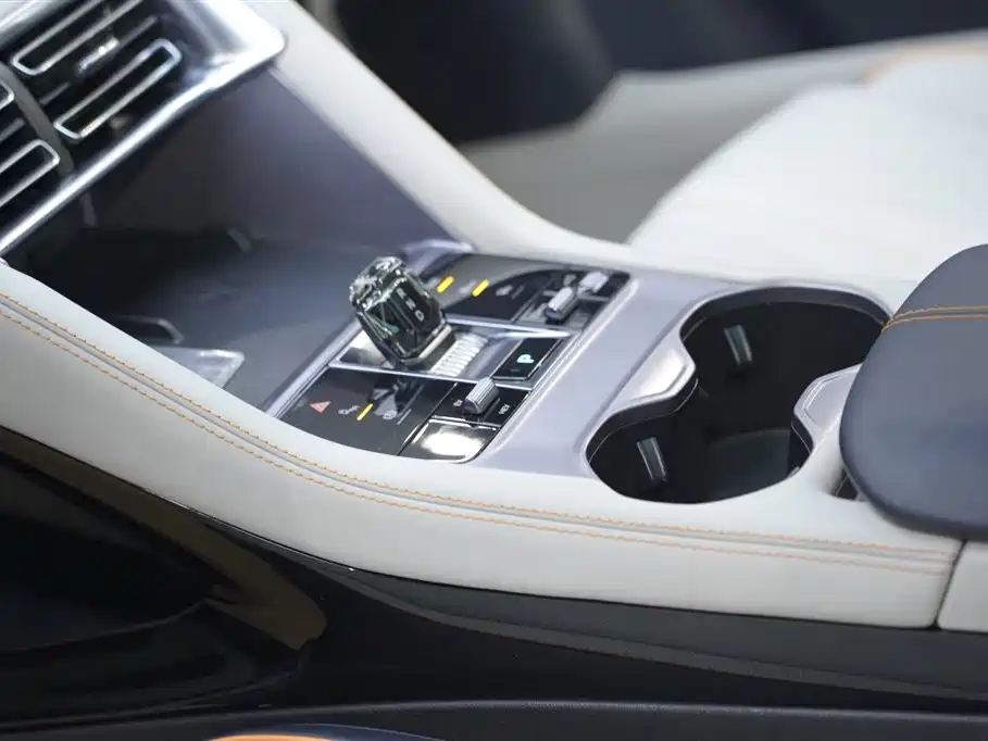 BYD PLUS New Energy 2023 — фото 15