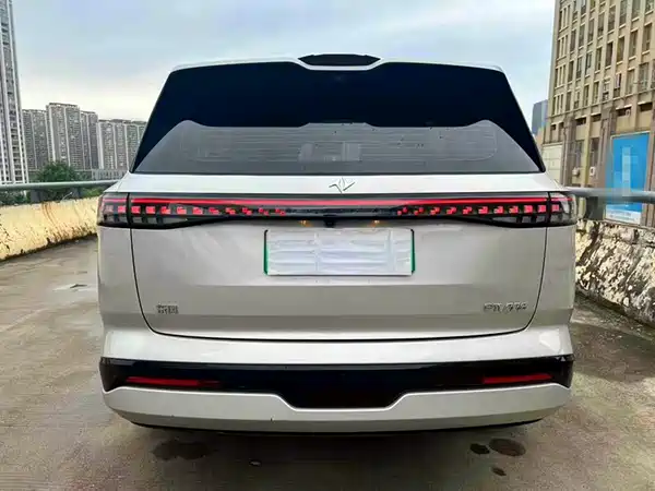 Dongfeng e008 2024