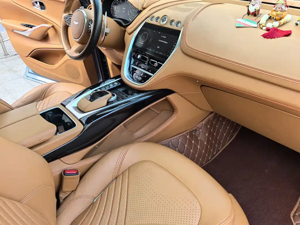Aston Martin DBX 2021 — фото 17