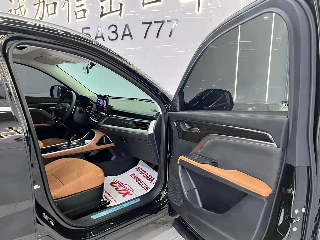 Haval H6 2023 — фото 16