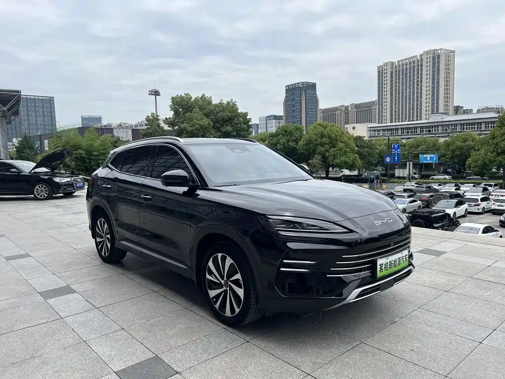 BYD PLUS New Energy 2023 — фото 3