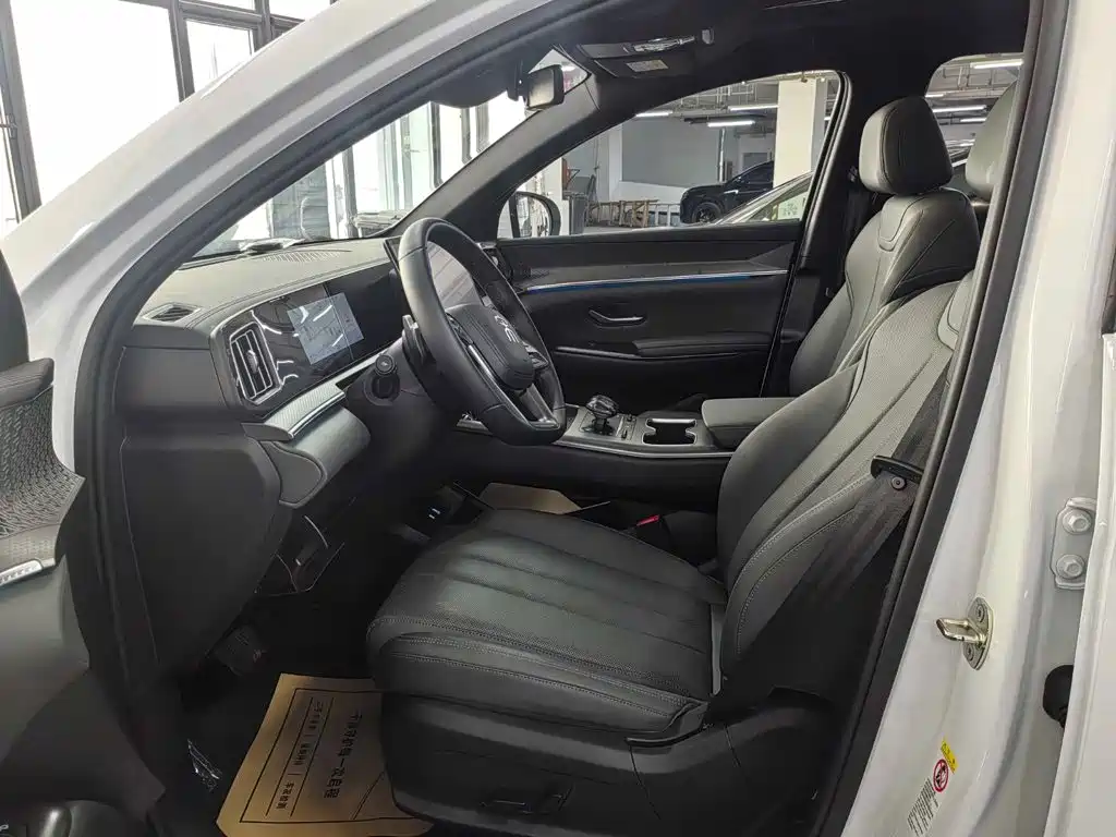 BYD Song Pro New Energy 2025 — фото 9
