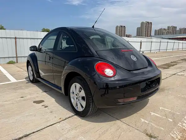 Volkswagen Beetle 2010
