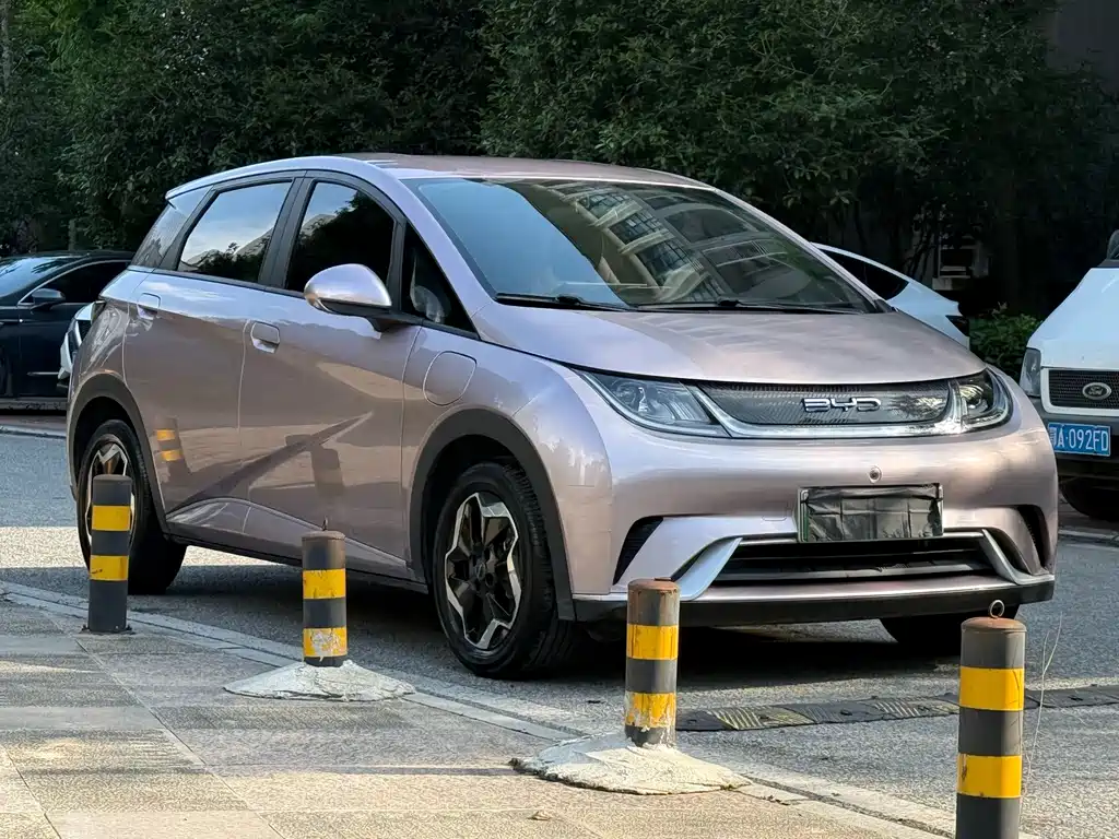 BYD Dolphin 2022
