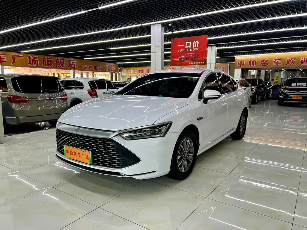 BYD Qin PLUS 2024 — фото 1