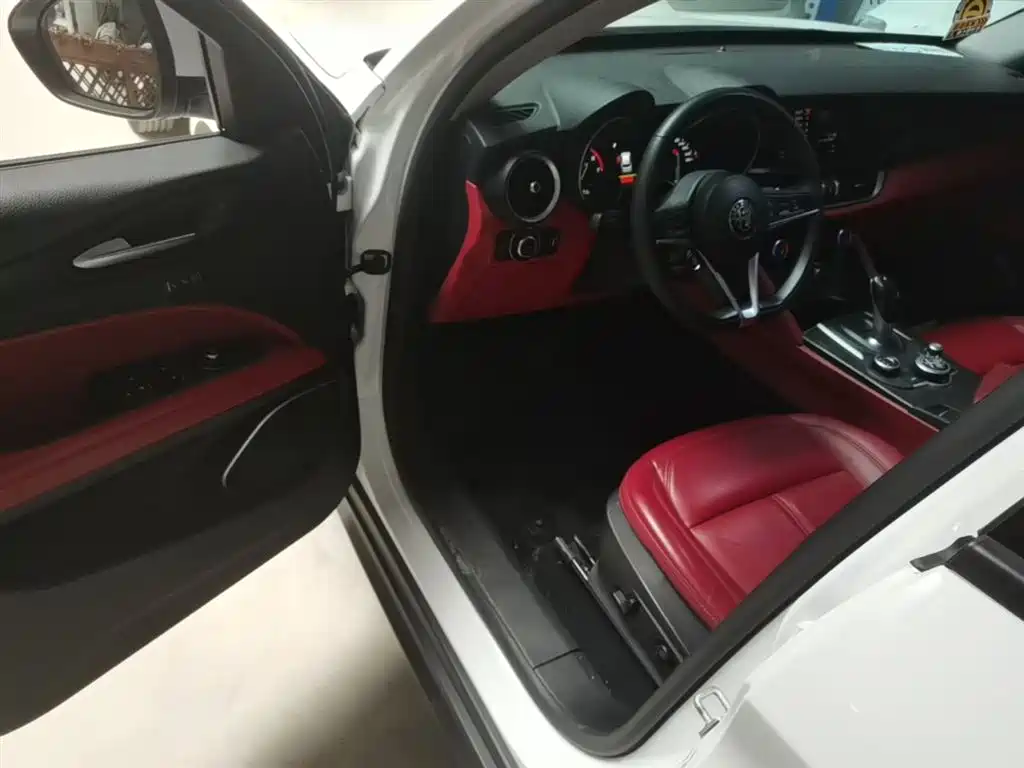 Alfa Romeo Stelvio 2019 — фото 16