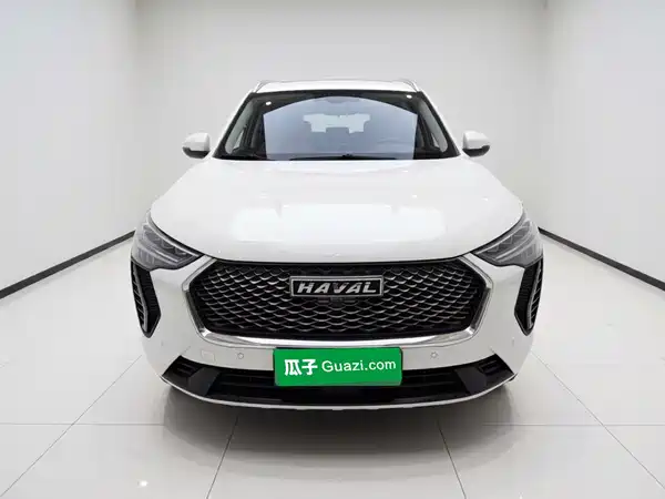 Haval First Love 2021