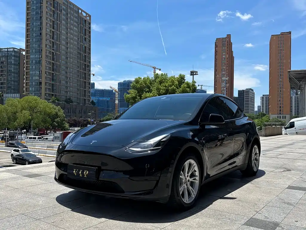 Tesla Model Y 2021 — фото 1