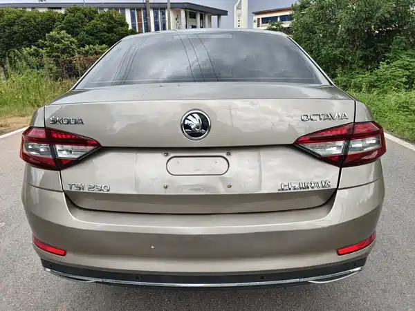 Skoda Octavia 2019