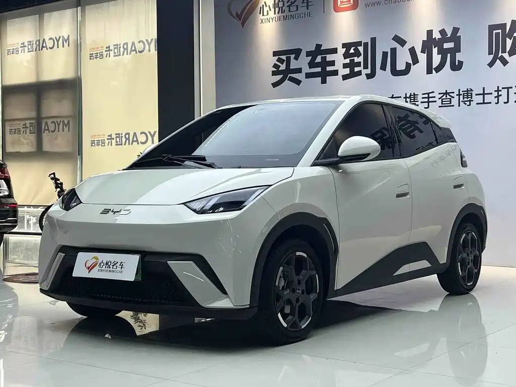 BYD Seagull 2024