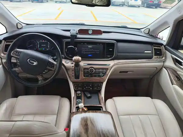 GAC Trumpchi M8 2019