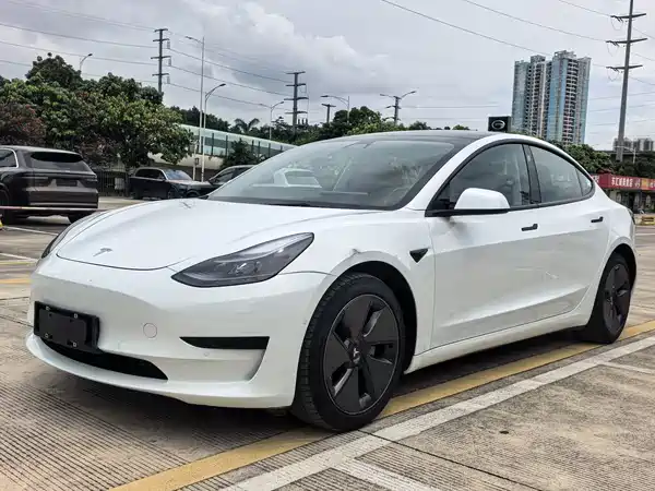 Tesla Model 3 2021