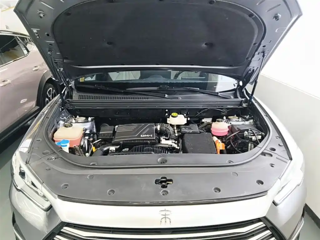 BYD Pro New Energy 2023 — фото 20