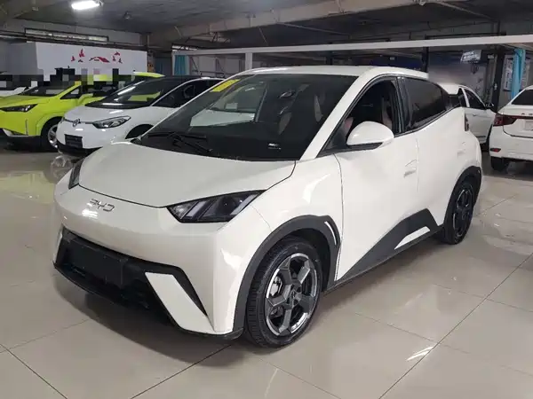 BYD Seagull 2024