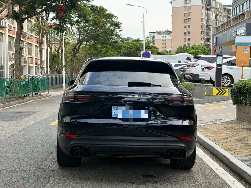 Porsche Cayenne 2020 — фото 16