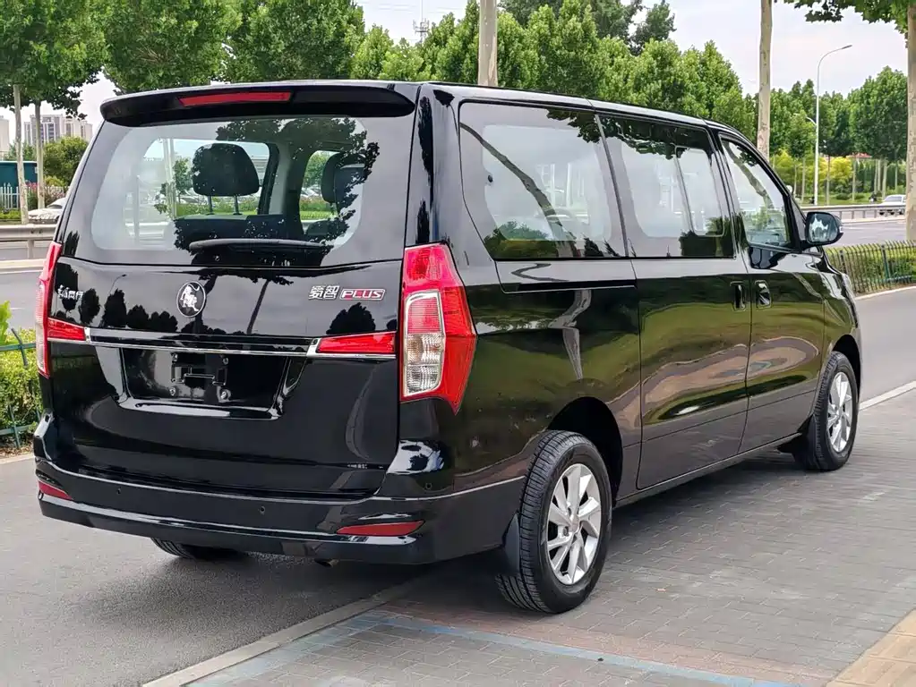 Fengxing Lingzhi PLUS 2026