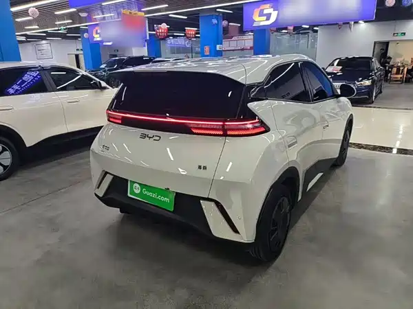 BYD Seagull 2024