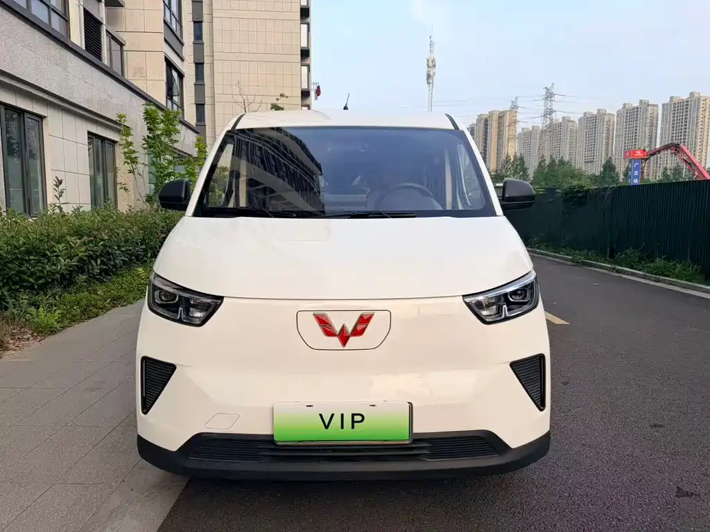 Wuling Yangguang 2024