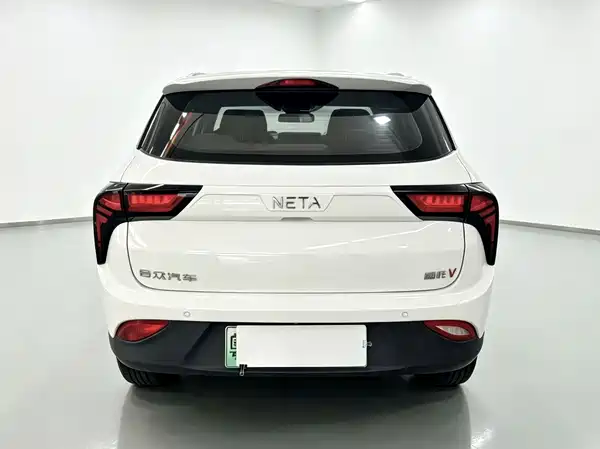 Neta V 2021