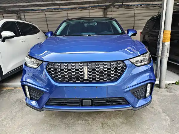 Wey VV5 2020