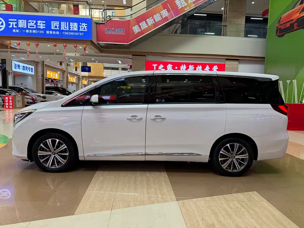 GAC Trumpchi M8 2019 — фото 5