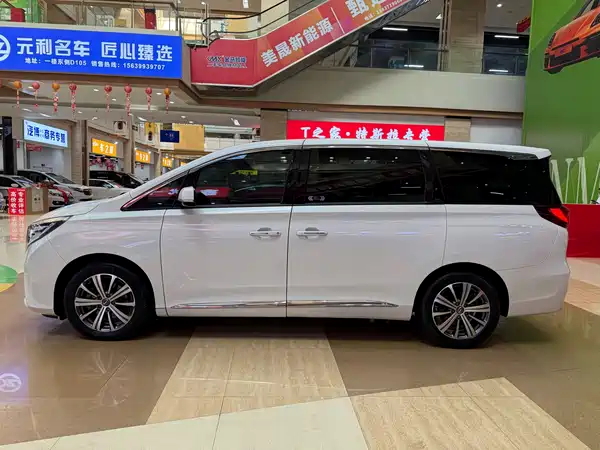 GAC Trumpchi M8 2019