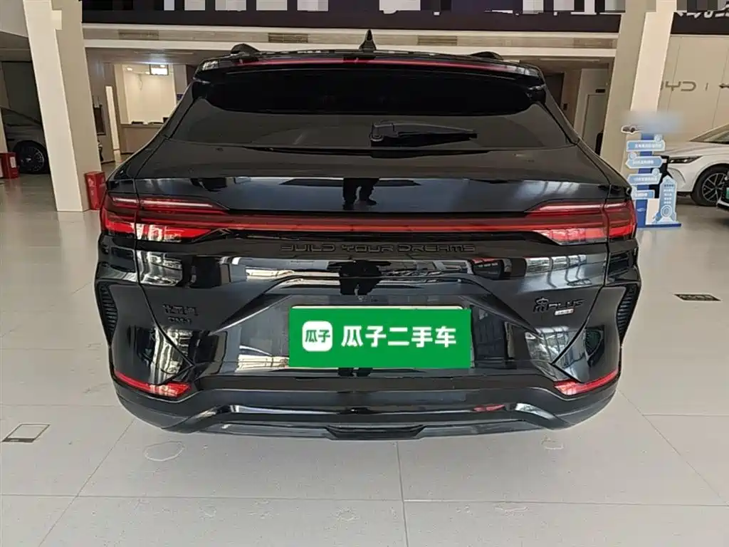 BYD PLUS New Energy 2024 — фото 6