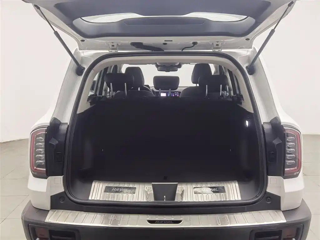 Haval Big Dog 2021 — фото 16