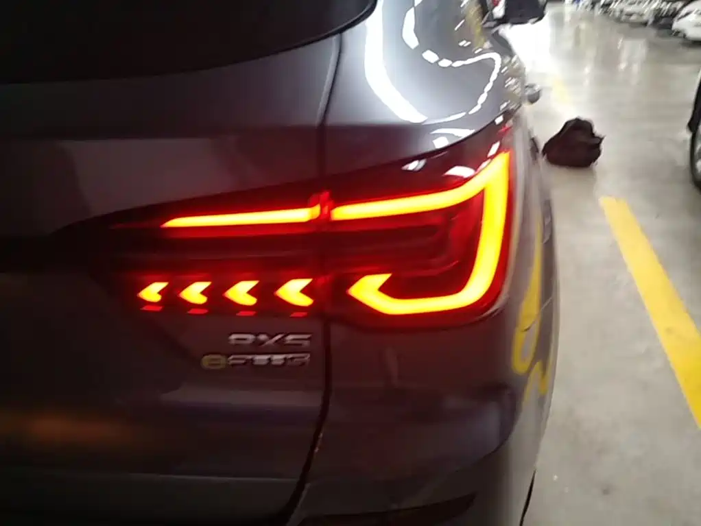 Roewe RX5 New Energy 2021 — фото 8