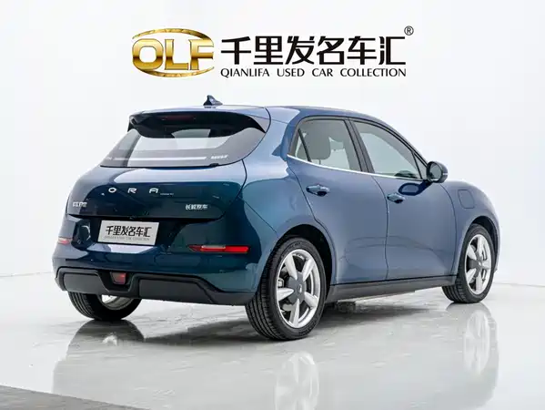 Ora Good Cat 2024