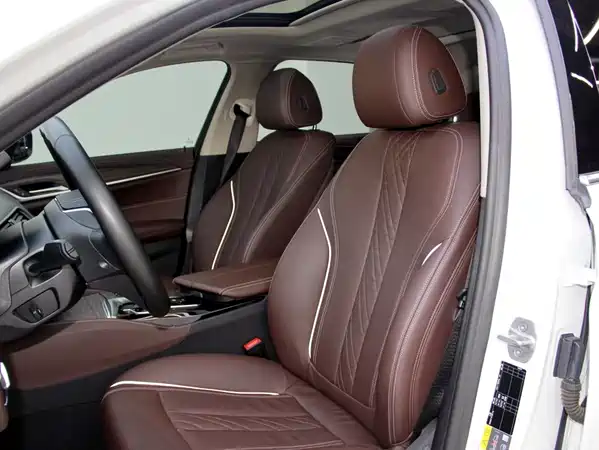 BMW 5 Series New Energy 2020