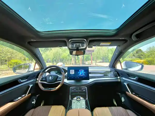 BYD Tang New Energy 2024