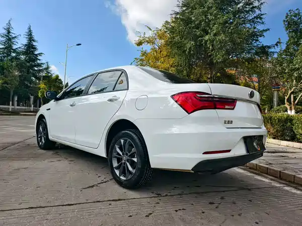 BYD Qin 2019