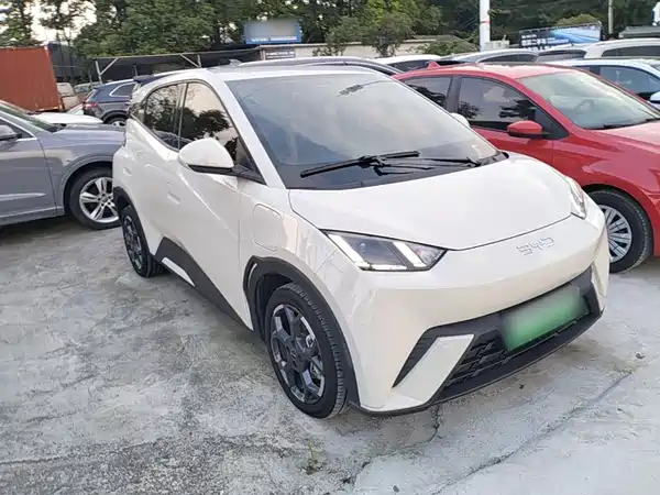 BYD Seagull 2024
