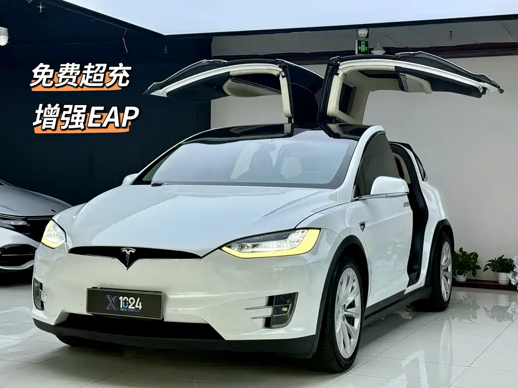 Tesla Model X 2018 — фото 1