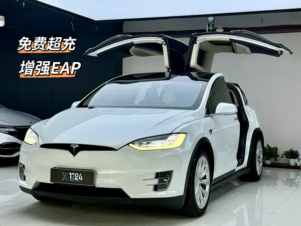 Tesla Model X 2018