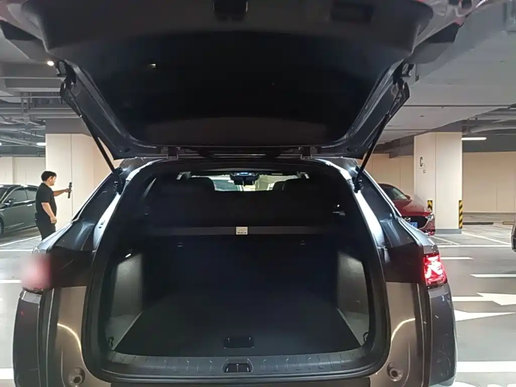 BYD Song L DM-i 2025 — фото 19