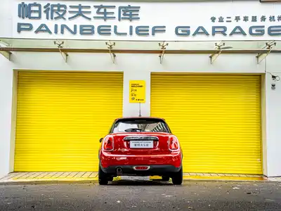 MINI MINI 2018