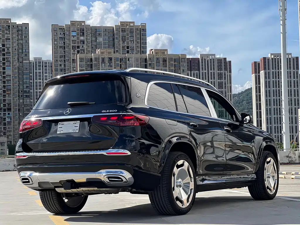 Mercedes-Benz GLS 2024 — фото 15