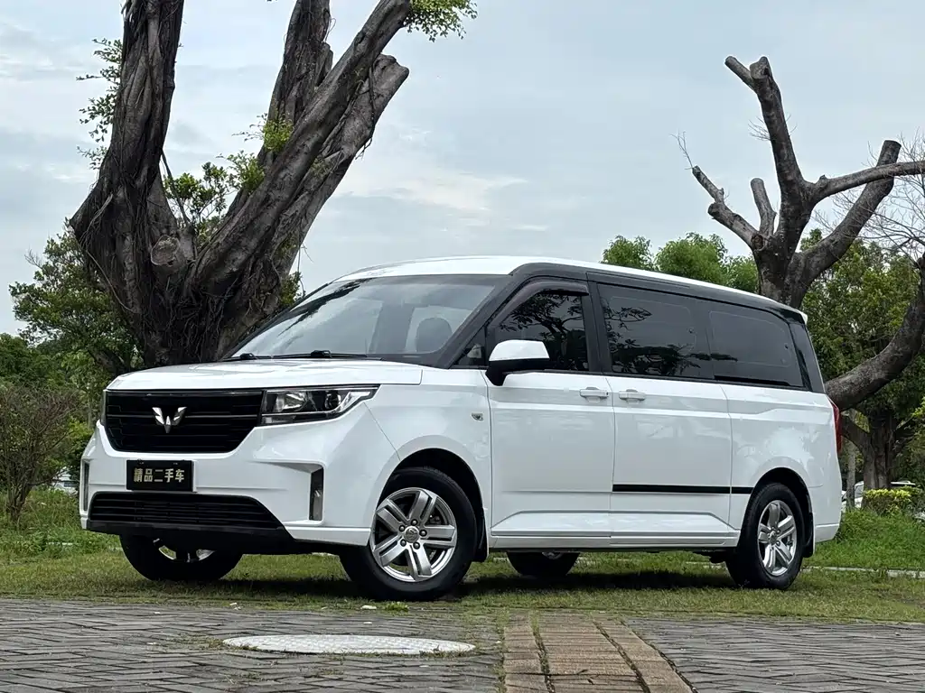 Wuling Zhengcheng 2021