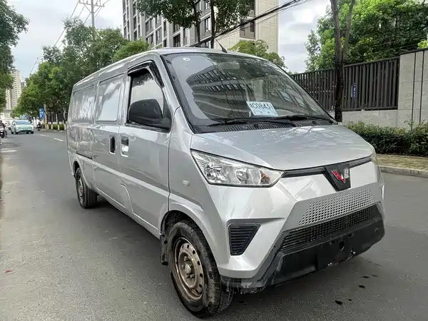 Wuling EV50 2020