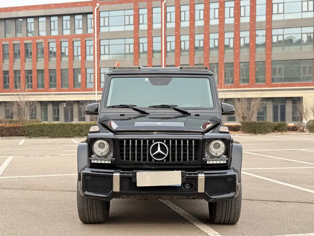 Mercedes-Benz G-Class 2013 — фото 2